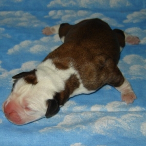 My Baby - Born 01/16/07