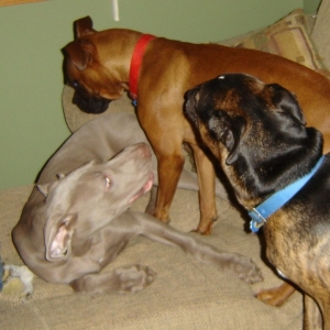 Playing With My Friend!