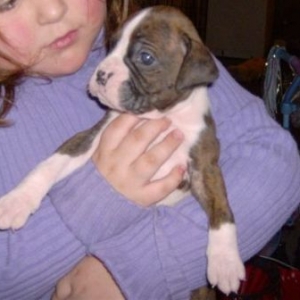quinn at 3.5 weeks now