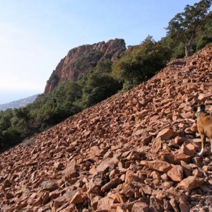 Rocky