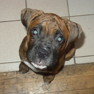 Roxy 3 months
