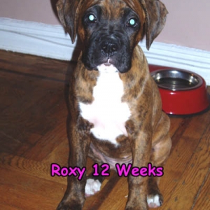 RoxySuperModel