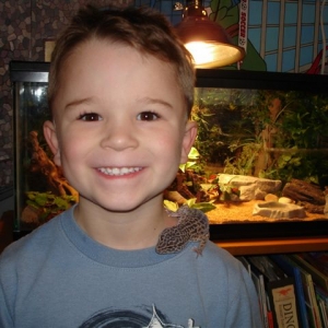 Chaos - our leopard gecko