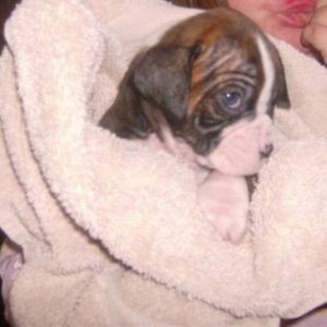 quinn first bath