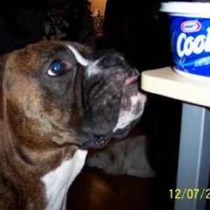 Can I have some please!