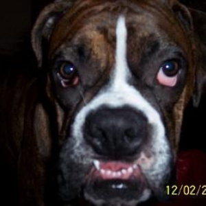 Say cheese!