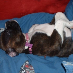 ZZZZZZZZZZZZZ