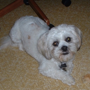 Oskar