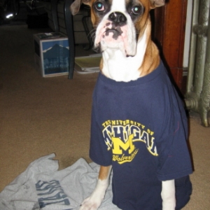 Blue's thoughts on the game