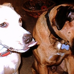 Sam and Layla