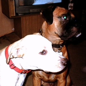 Sam and Layla 2