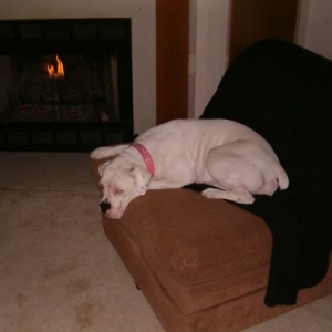 sleepy