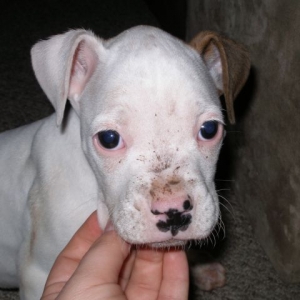 Muddy_Bama2
