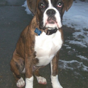 Beau from Ontario
