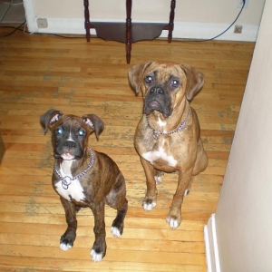 Ranger and Taĩka