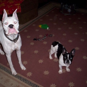 Duke's new sister