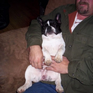 Lola snoring