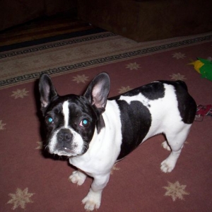 Newest addition Lola!