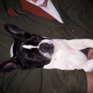 Lola