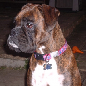 Beautiful Lola