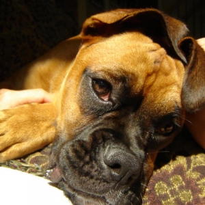 Sunning