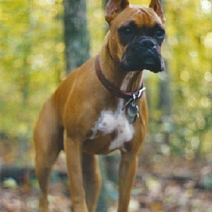 Justa Posing