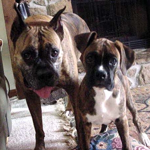 Silly Boys!