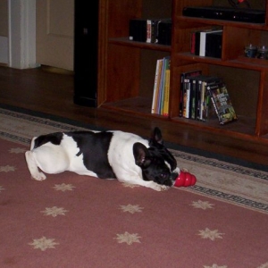 Lola and her kong