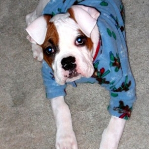 Moto at 11 weeks