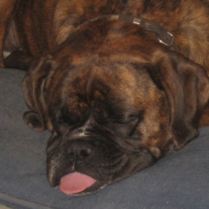 Sleeping