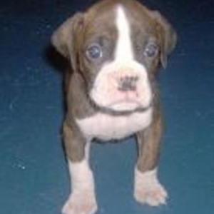 My Little Man Quinn