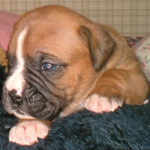 2 Weeks old.
