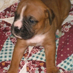 Two weeks old.