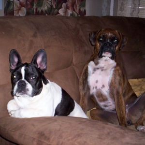 Dutchess and Lola