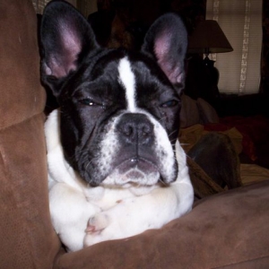 Lola