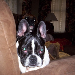 Lola