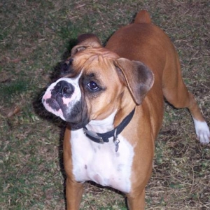 Samantha - 19 Month's Old