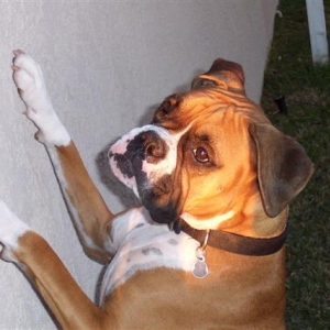 My Lovely Lady Samantha
