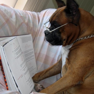 Reading is fundemental...