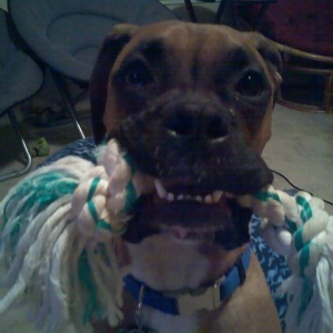 Play time?