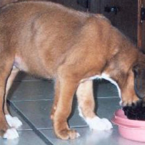 Chyna having a snack