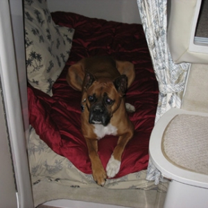 Chyna relaxing on the boat