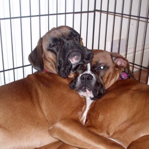 Ruby_and_Angel