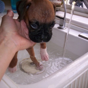 When Bath Time Was Easy