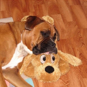 Just me and my teddy!!
