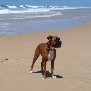 Beach Babe!!