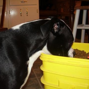 Were you hungry boy?