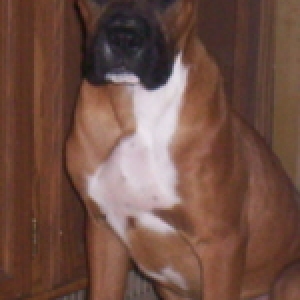 Chief3