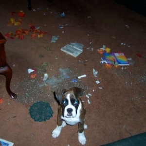 I guess he was bored......