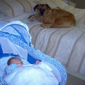 Isis watching over baby Brennan